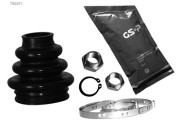   GSP 780371
