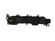   AIC 58081