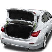 Амортизатори багажника (газові упори багажника) Euro-Upor EU-IN-Q50-01-2R для Infiniti Q50 / Q60 (2013-2022) 2шт