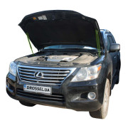 Амортизаторы капота (газовые упоры капота) Euro-Upor EU-LE-LX-200-2 для Lexus LX (J200) 2008-2022 (2шт)