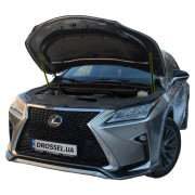 Амортизаторы капота (газовые упоры капота) Euro-Upor EU-LE-RX-04-2 / EU-LE-RX-04FE-2 для Lexus RX 4 (AL20) 2015-2022 (2шт)