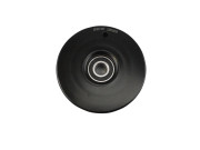   AIC 52381