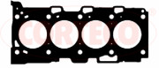   CORTECO 415581P
