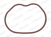    PAYEN JD6166