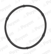    PAYEN JD6171