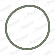    PAYEN JD5228