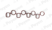   PAYEN JD6177