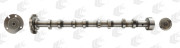  AE CAM955
