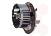   VAN WEZEL 0335773