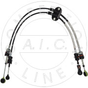   AIC 58975