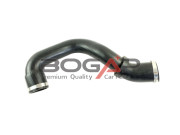   BOGAP A1711281