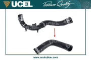   UCEL 16043