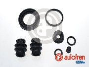   AUTOFREN D4-2262