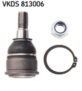   SKF VKDS 813006