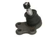   REINHOCH RH03-5017