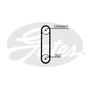 Ремень ГРМ GATES T364HOB