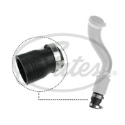 �������� ����������� GATES 09-0618