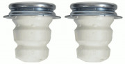    SACHS 900310