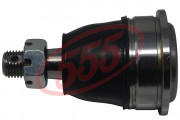   555 SB-4981