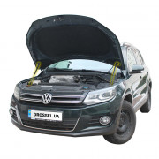Амортизаторы капота (газовые упоры капота) Euro-Upor EU-VW-TIG-01-2 для Volkswagen Tiguan (2007-2017) 2шт