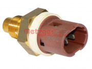     METZGER 0905242
