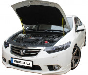 Амортизаторы капота (газовые упоры капота) Euro-Upor EU-HO-ACC-08-2 для Honda Accord 8 (2008-2012) 2шт