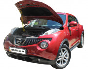   (  ) Euro-Upor EU-NI-JUK-01-1  Nissan Juke (2010-2014)