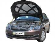 Амортизатори капота (газові упори капота) Euro-Upor EU-SK-OСT-03-2 для Skoda Octavia A7 (2013+) 2шт