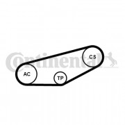   () CONTITECH 4PK855K1