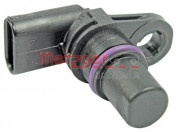   METZGER 0903169