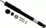   SACHS 317 258