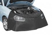       Kegel Maxsimus