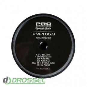   Dynamic State PM-165.3 PRO-2