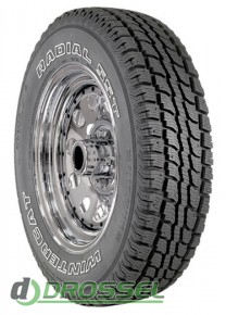  Dean Wintercat Radial SST