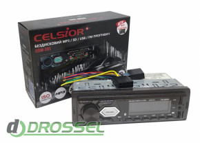 Celsior CSW-201 4