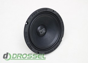   FSD audio Master 165 N-2