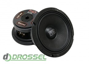   FSD audio Master 200 MG-1