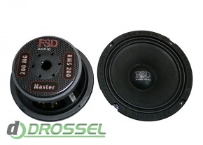   FSD audio Master 200 MG-2