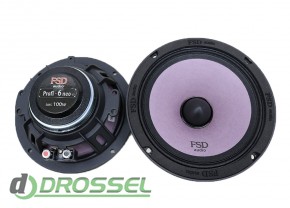   FSD audio Profi 6 Neo-1