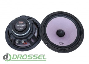   FSD audio Profi 8 Neo-1