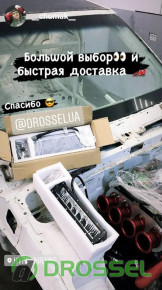  볺      Instagram (@drosselua)