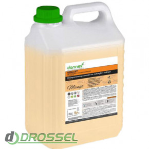 Dannev Air Freshener & Odours Neutralizer Renluft Mango 2