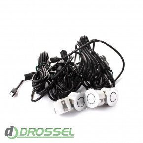 ���������� GT P Rainbow Silver