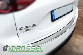 Carmos car1329_3