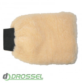  DeWitte Washing Glove Poly-Wool