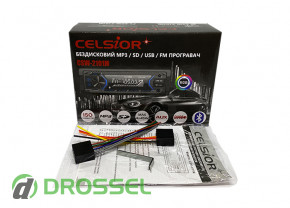  Celsior CSW-2101 Multicolor