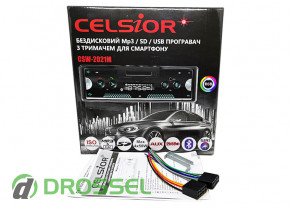  Celsior CSW-2021 Multicolor