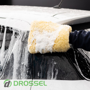 Cartec Splash Shampoo