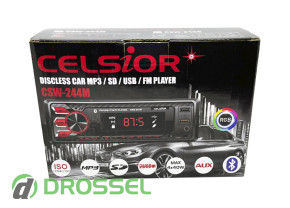  Celsior CSW-244 Multicolor