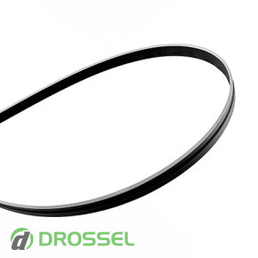    Infolight Ambient Light